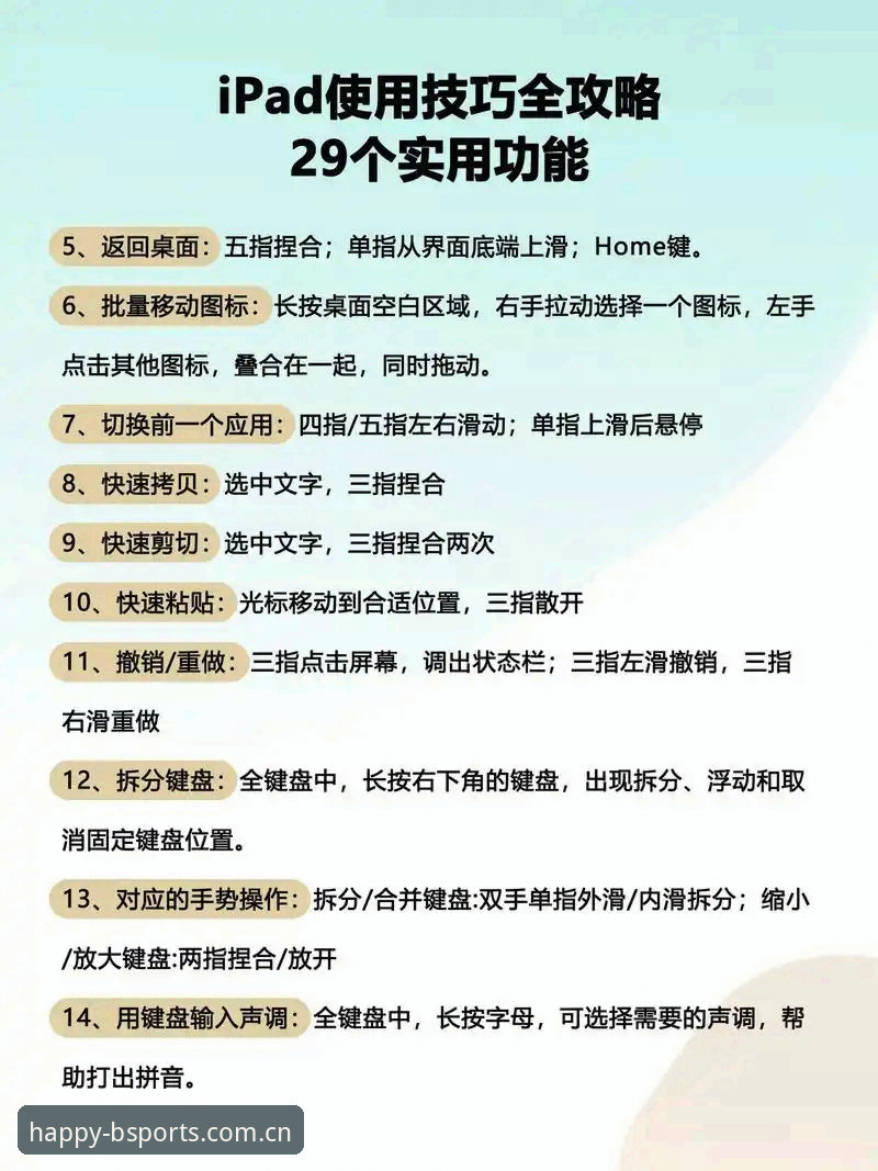 BSports使用教程：从新手到高手的必备实用指南
